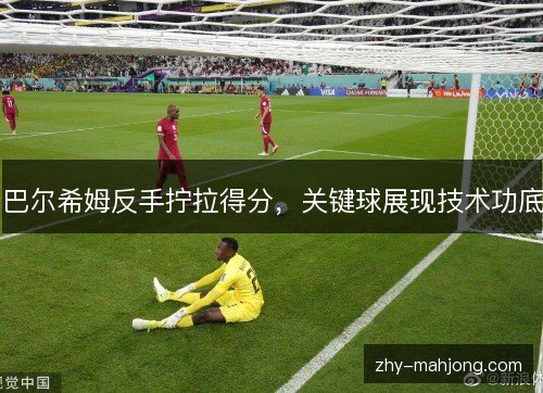 巴尔希姆反手拧拉得分，关键球展现技术功底